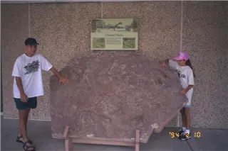 small_9708 4959 family co ut caIMG0006.webp